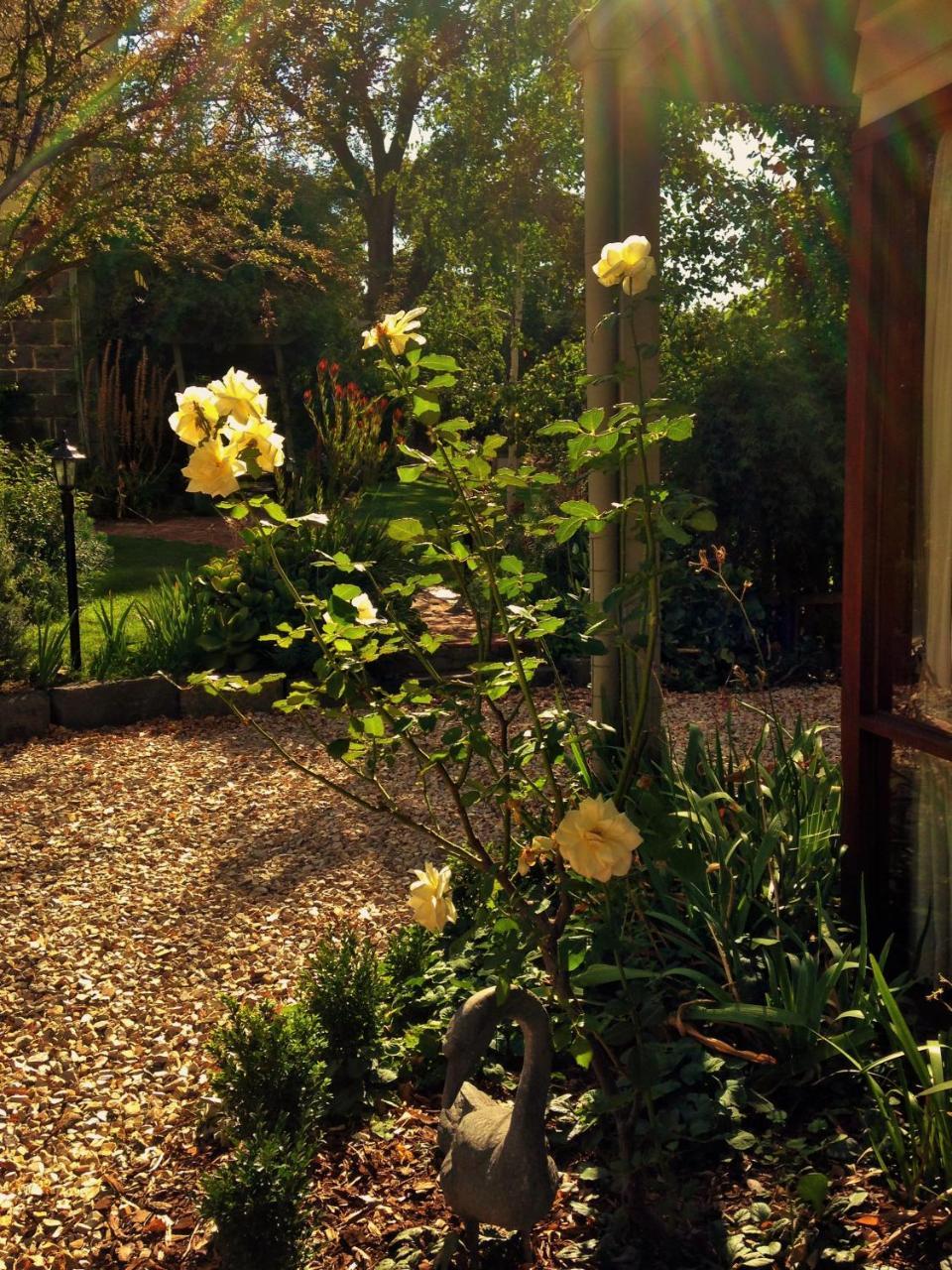 Bindley House B&B Cottage Kilmore Dış mekan fotoğraf