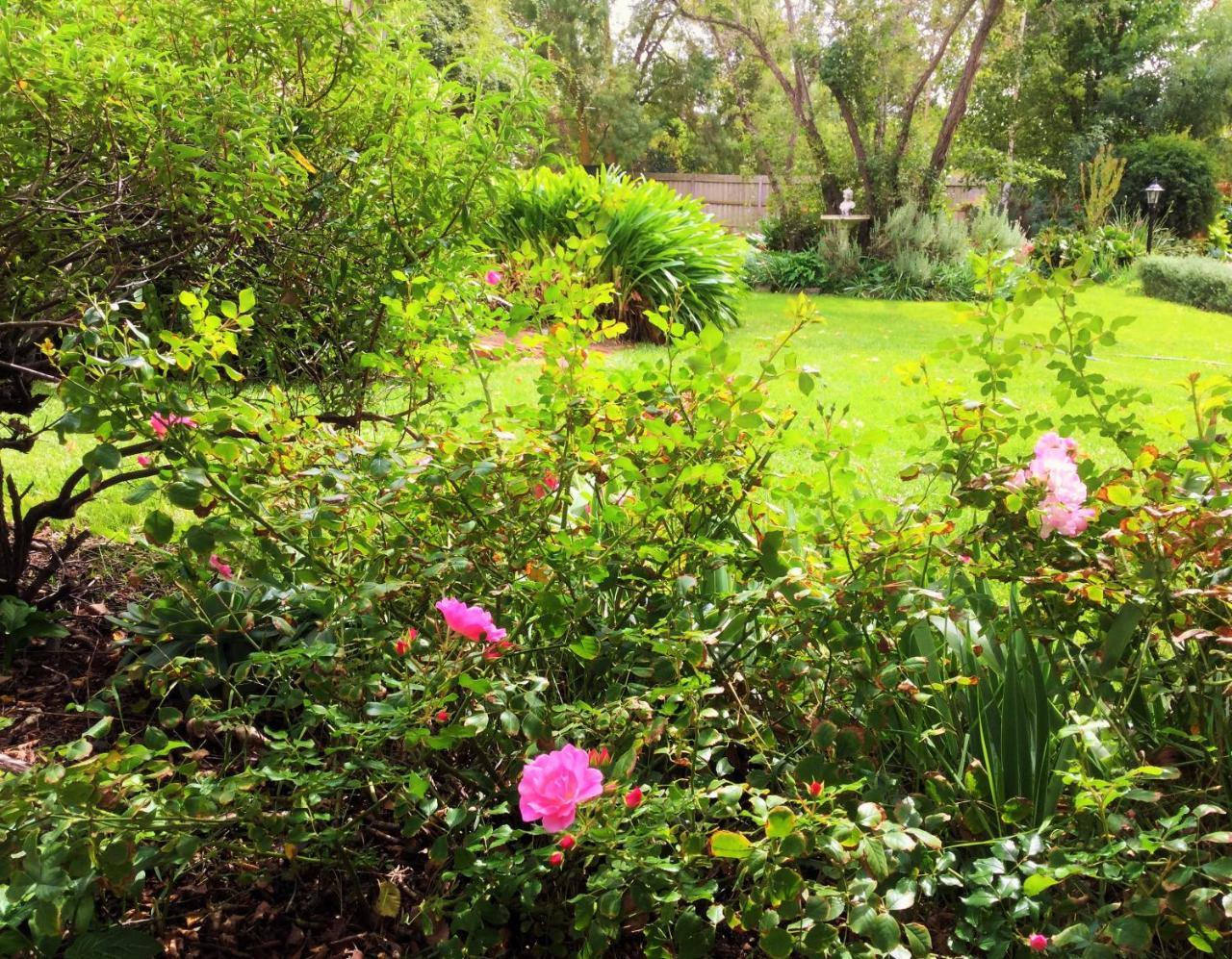 Bindley House B&B Cottage Kilmore Dış mekan fotoğraf